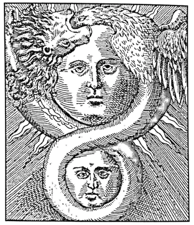 Bildschirmfoto 2017-05-11 um 12.51.16