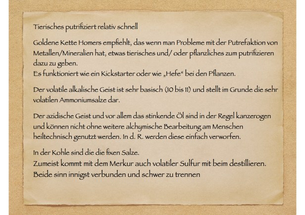 Workshop Alchemie 5 einige Folien-x.jpg